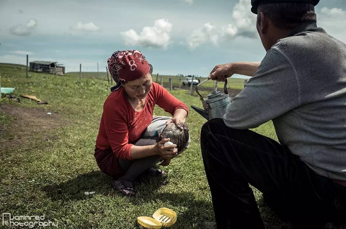 逐渐消失的习俗哈萨克“还子”